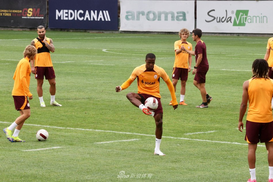 林的整体战 林的整体战